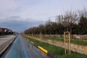 Sakarya'da yeni dikilen 2 bin 500 ağaç, doğal yaşamı desteklemek ve çevreyi güzelleştirmek amacıyla.