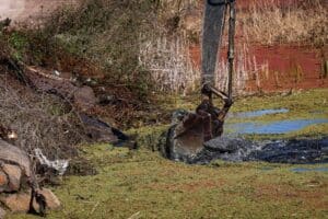 Çark Deresi'nin 5 Kilometrelik Güzergâhında Kapsamlı Temizlik Çalışması Başladı