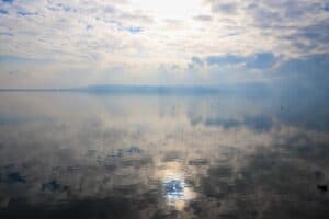 Sapanca Gölü'nde Su Seviyesindeki Artış Ekosistemi Yeniden Canlandırıyor