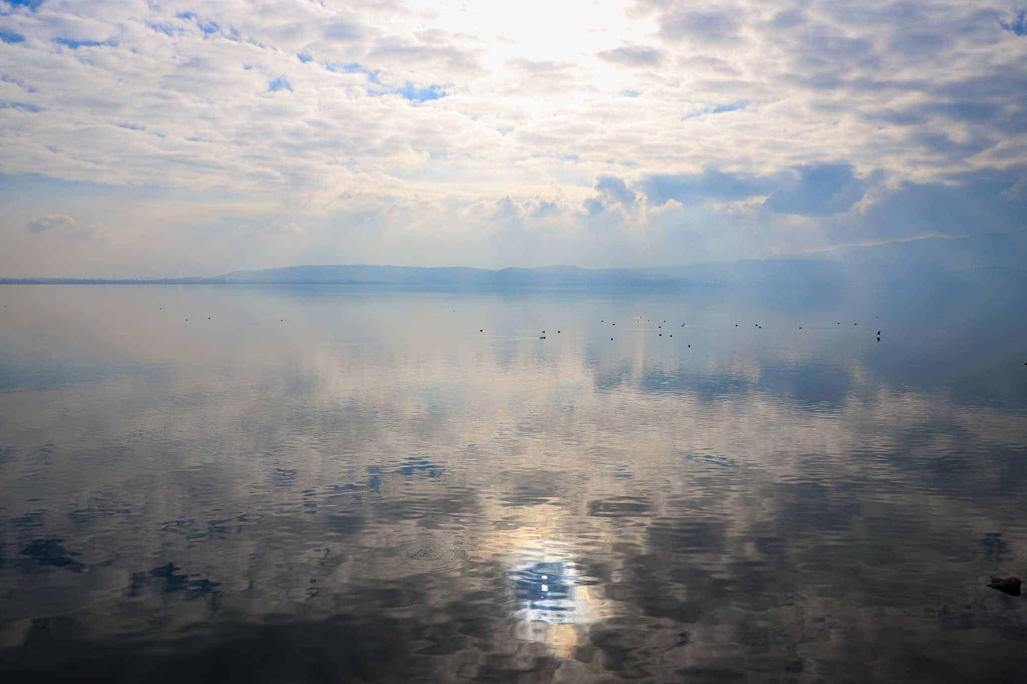 Sapanca Gölü'nde Su Seviyesindeki Artış Ekosistemi Yeniden Canlandırıyor