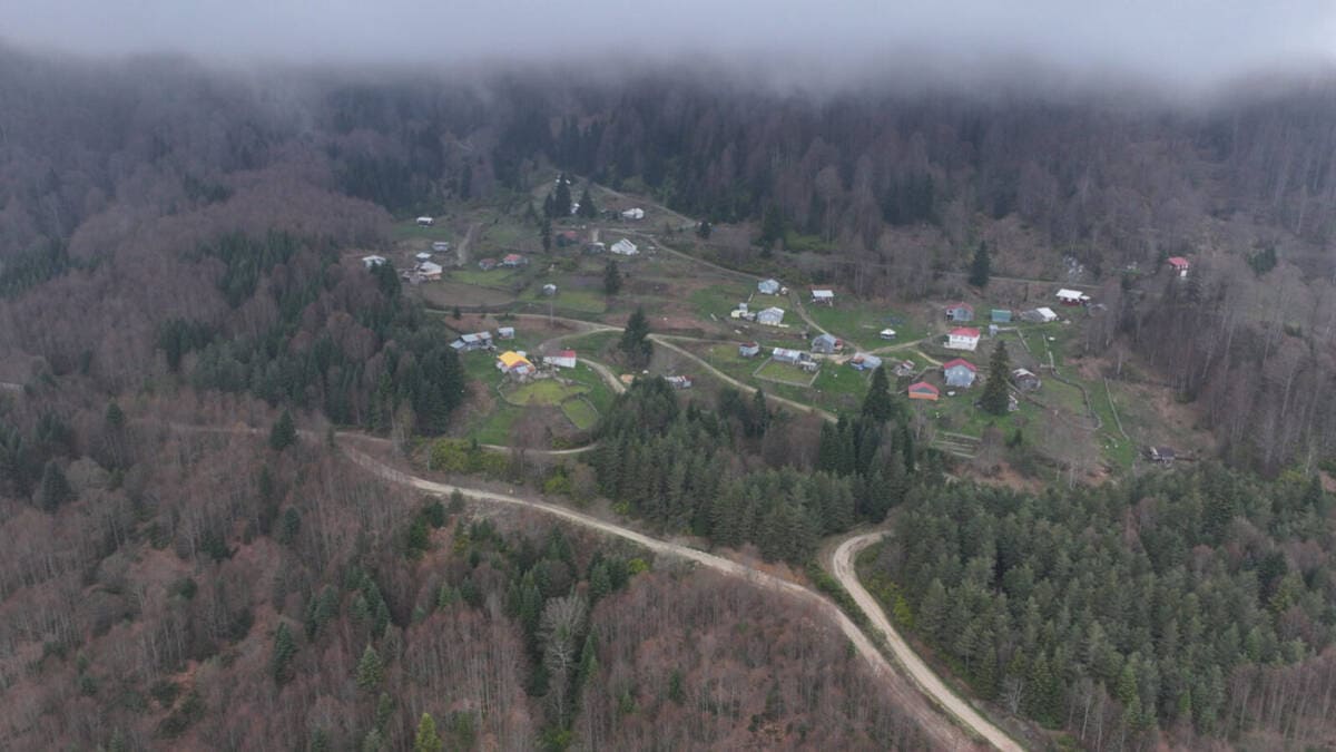 Sakarya’da Beygümbet ve Yanık Yaylası Parkurunda Doğayla İç İçe Yürüyüş Etkinliği Düzenlendi